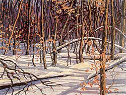#653 ~ Reid - Untitled - Ottawa Winter Woods  #31/325