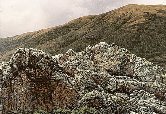 #22 ~ Davis - Outcrop  #A.P.