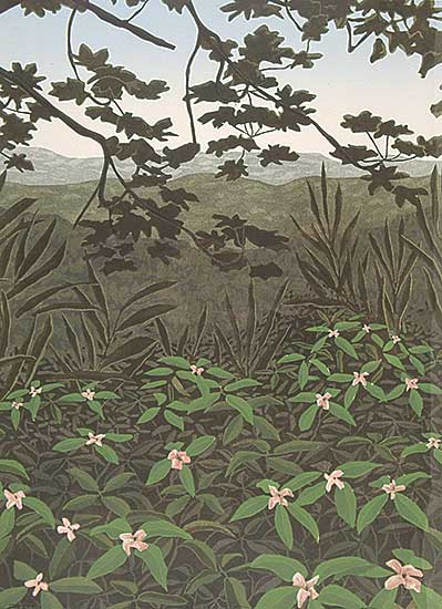 #25 ~ Denyse - Rain Forest  #4/40