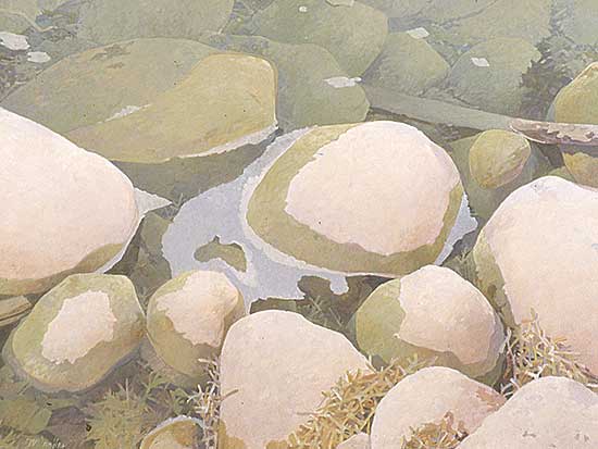 #27 ~ Drohan - Between Casts
