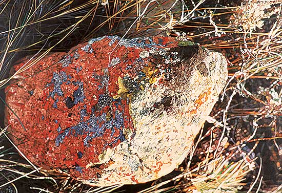 #32 ~ Foo Fat - Drumheller Red Stone