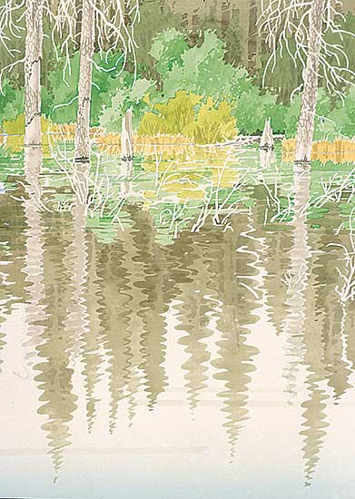 #38 ~ Godwin - Beaver Pond