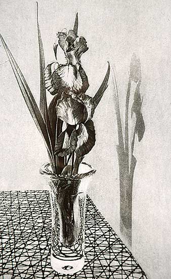 #49 ~ Heywood - Untitled Etching KV102  #1/50