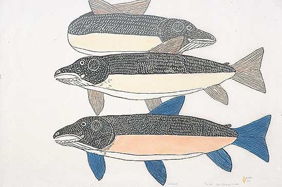 #55 ~ Kigusiuq - Irkaluk  #14/50
