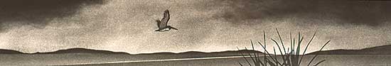 #77 ~ Laing - Between Seasons  #A.P.