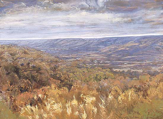 #90 ~ Meggitt - Pheasant Creek
