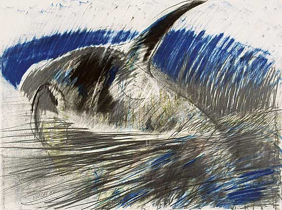 #175 ~ Wright - Untitled - Killer At Admirals III