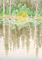 #38 ~ Godwin - Beaver Pond