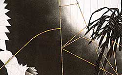 #173 ~ Webb - Flight Path #25/25 #173 ~ Webb - Flight Path #25/25