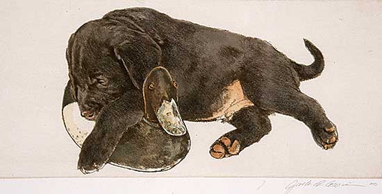 #21 ~ Cowin - Untitled - Black Lab with Blue Billed Decoy  #AP