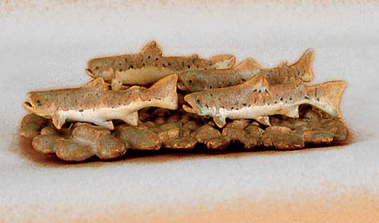 #22.2 ~ Dalrymple - Untitled - School of Trout