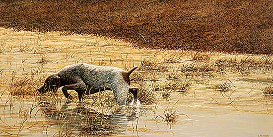 #30.1 ~ Gibbs - Swamp - Krol Ranch Near Edmonton