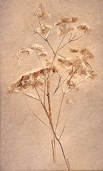 #90 ~ Muhlstock - Untitled - Flora Series