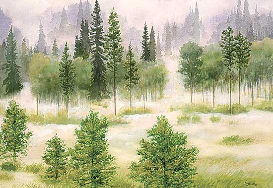 #104 ~ Perrott - Early Morning