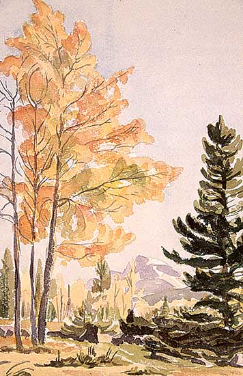 #129 ~ Shelton - Pilot Mountain