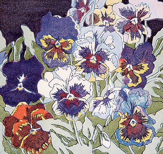 #153 ~ Wrinch - Inquisitive Pansies