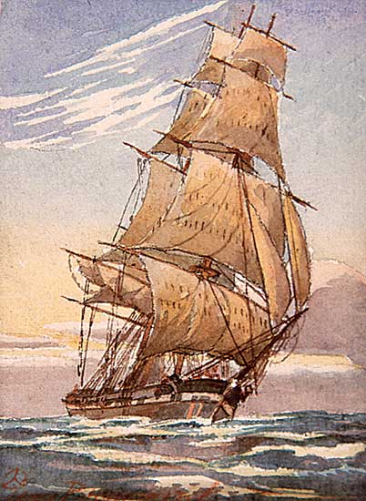 #228 ~ Blomfield - Running Free