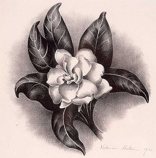 #265 ~ Huntley - Untitled - Gardenia
