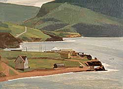 #20 ~ Collier - McIvers, Bay of Islands, Newfoundland