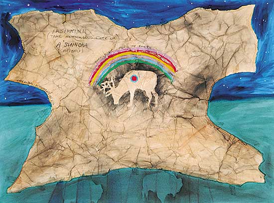 #14 ~ Cardinal-Schubert - War Shirt for the Earth