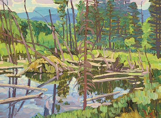 #82 ~ Kerr - Ancient Beaver Dam, Forest Reserve