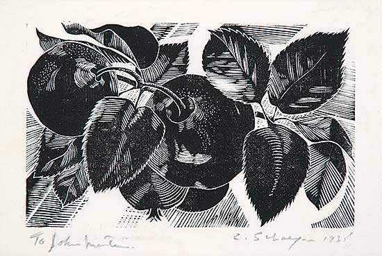 #135 ~ Schaefer - Apples