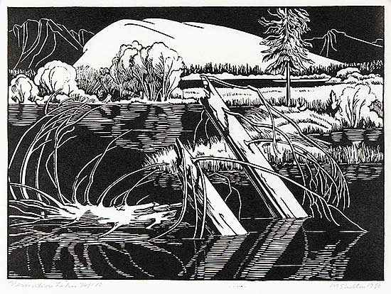 #140.3 ~ Shelton - Vermilion Lakes  #74/100