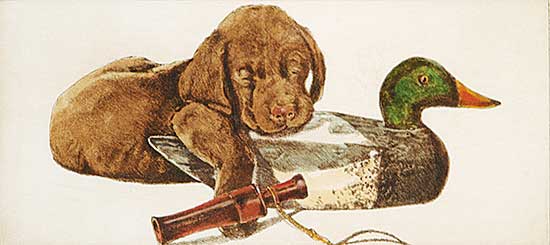 #331 ~ Cowin - Untitled - Lab with Mallard Decoy and Whistle  #9/50