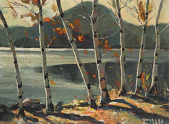 #343 ~ Elliott - Autumn, Madawaska Valley