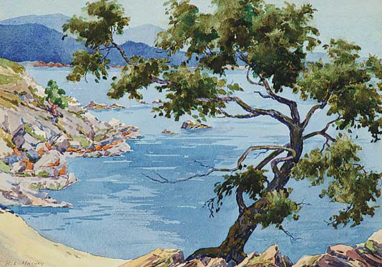 #359 ~ Harvey - Untitled - West Coast View