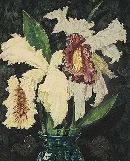 #366 ~ Hornyansky - Orchids