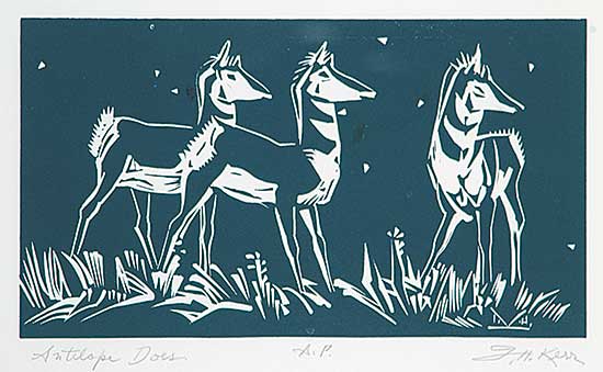 #376 ~ Kerr - Antelope Does  #A.P.
