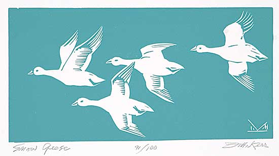 #379 ~ Kerr - Snow Geese  #91/100