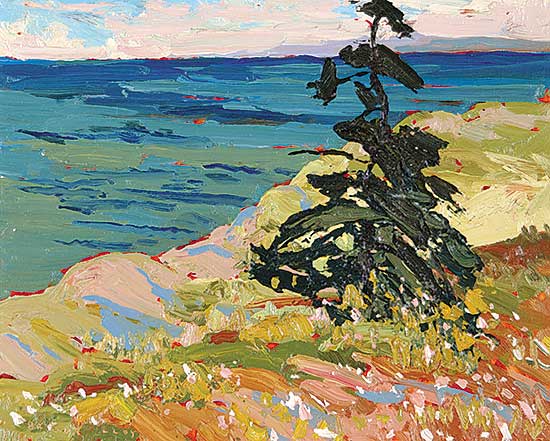 #401 ~ Lloy - Shore Spruce - Herring Cove Area