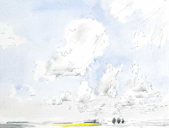 #466 ~ van Wyk - Rapeseed