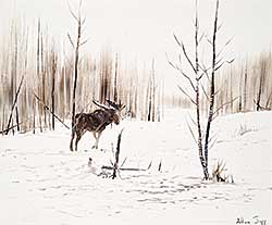 #130 ~ Sapp - Bull Moose in Winter Snows