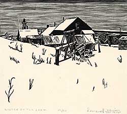 #374 ~ Hutchinson - Winter on the Lake  #13/50