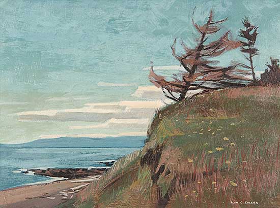 #17 ~ Collier - Queen Charlotte Islands B.C.