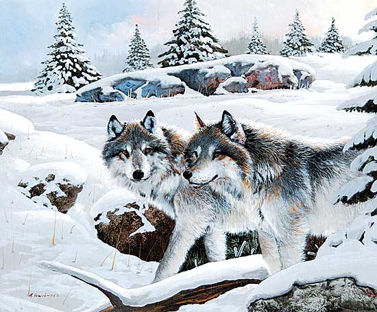 #30 ~ Fernandez - Untitled - Timber Wolves