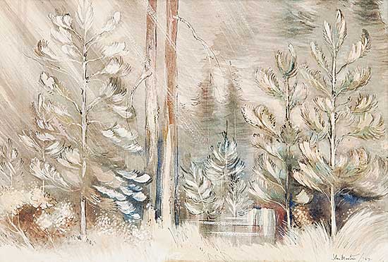 #69 ~ Martin - Untitled - Little Pine, Quetico