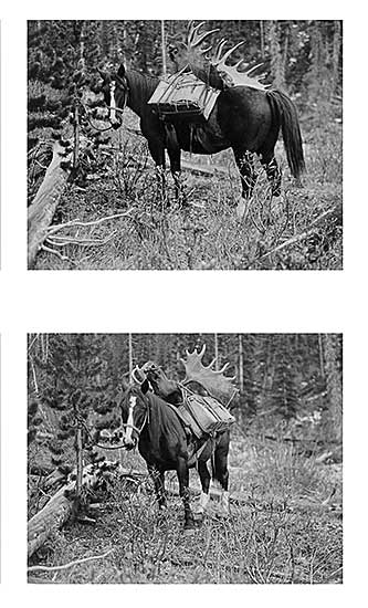 #102 ~ Rungius - Group of Photographs