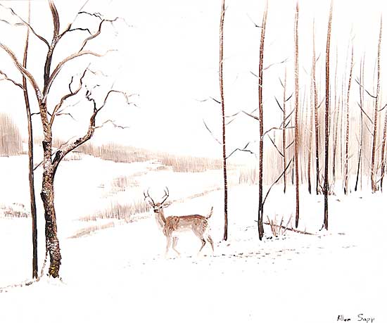 #105 ~ Sapp - Solitary Buck