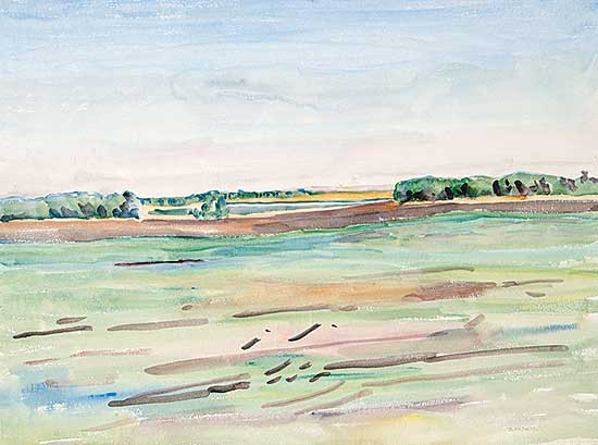 #219 ~ Knowles - Green Fields and Blue Sky