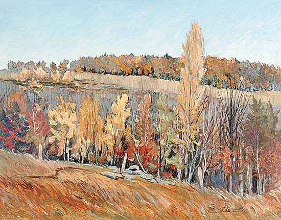 #341 ~ Burdeny - Rolling Land N.W. of Calgary