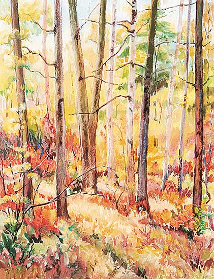 #362 ~ Felsberg - Untitled - Spring Forest