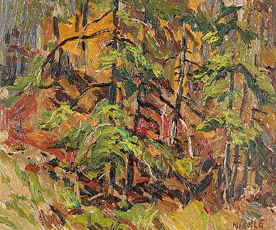 #429 ~ Nickle - Conservation Area, Whitchurch Twp.