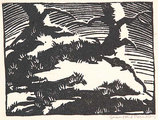 #442 ~ Perrott - Untitled - Tree Stumps