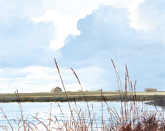 #464 ~ Raftery - Passing Rain