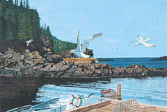 #475 ~ Roche - Afternoon at Bauline