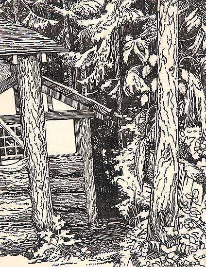 #493 ~ Scott - Forest Barn